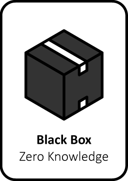 Black box pentesten hacker organisatie applicaties beveiliging informatie