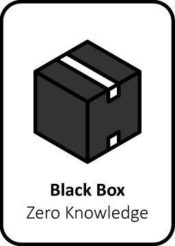 Black box pen testing hacker organization applications security information