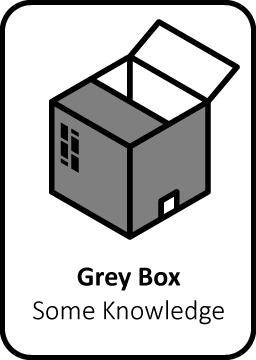 Grey box pen testing risk hackers automated network penetration test the netherlands