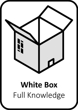 white box pen testing ethical hardware vulnerability pentester security audit computer systems