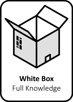 white box pentesting ethical hardware vulnerability pentester security audit computer systems