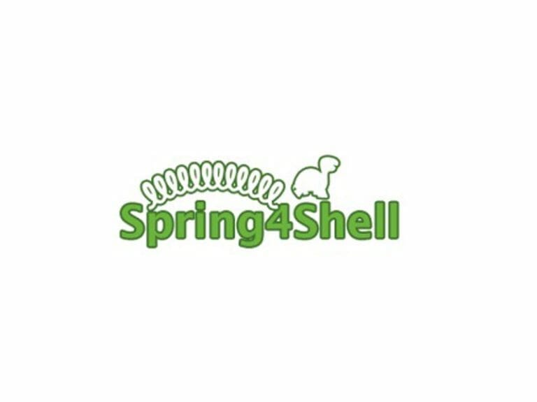 NFIR Threat Intelligence Report - Indications that Spring4Shell vulnerability (CVE-2022-22965) may be actively abused