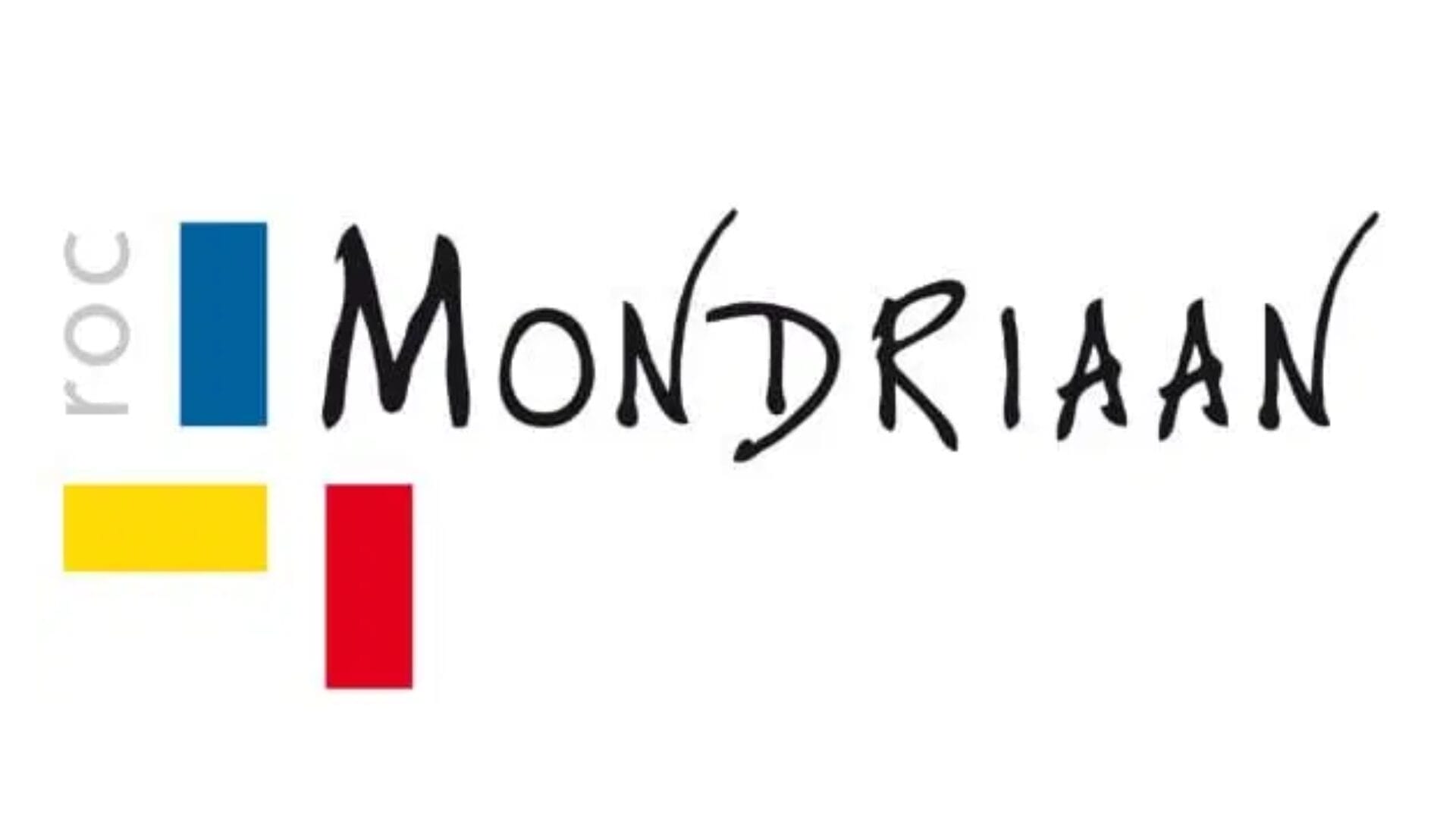 Logo with "roc" in lowercase, featuring blue, yellow, and red squares—symbolizing robust cybersecurity—paired with "MONDRIAAN" in stylized black text on a white background.